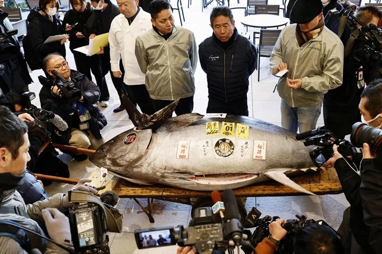 Tokyo: Toyosu Tuna Auction+Seafood Breakfast/Tsukiji Stroll Tuna Auction & Seafood Breakfast (with Meal)