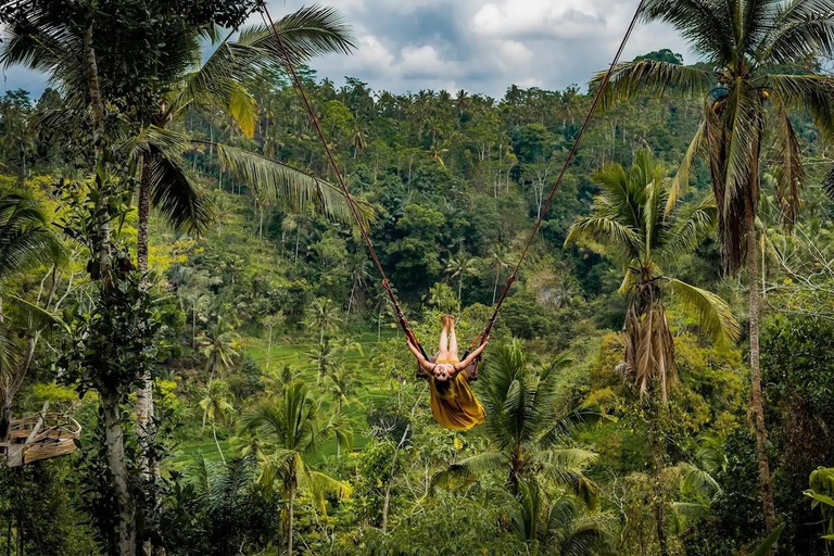Ubud: Monkey Forest, Cretya Pool & Zipline Shared Tour Private Tour with Hotel Transfer - No Tickets