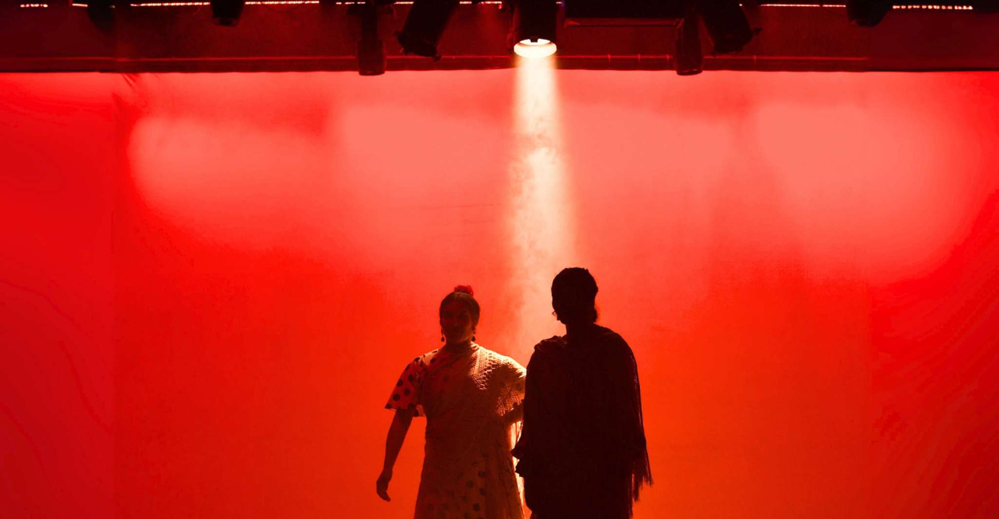 Barcelona: Flamenco Show at the Theater photo 8