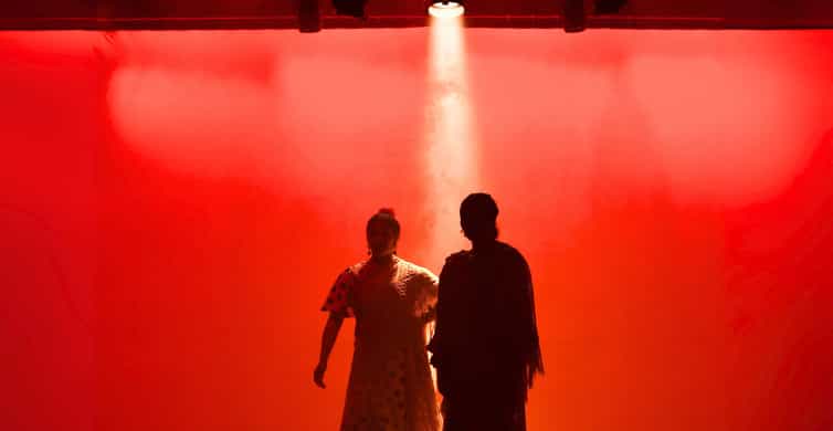 Barcelona: Flamenco Show at the Theater photo 8