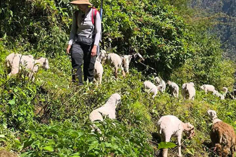 Pokhara: Annapurna base camp Trek with Female Guide