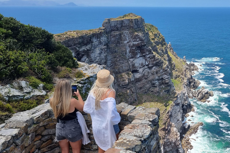 Luxury Cape of Good Hope & Penguin Tour