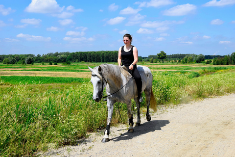 Tbilisi: Horseback Riding Across open meadows. Private