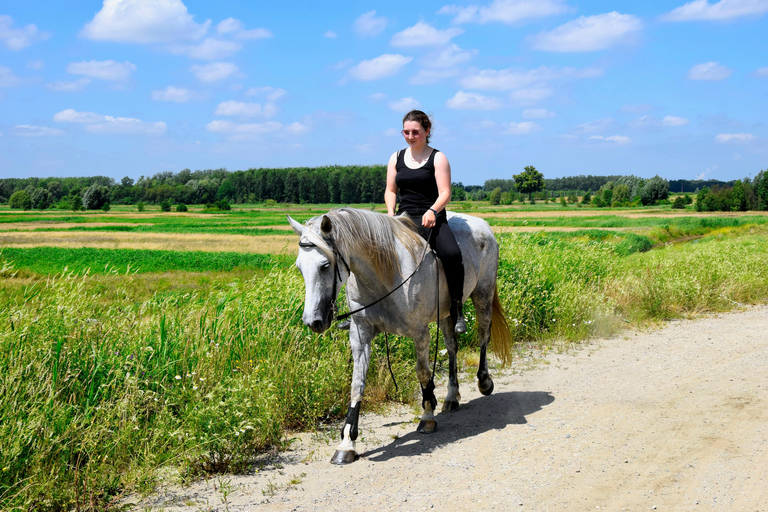 Tbilisi: Horseback Riding Across open meadows. Private