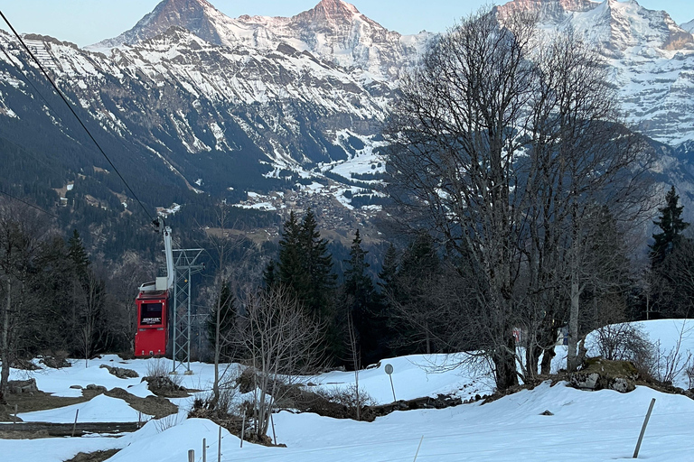 Interlaken: Night Sledding & Fondue Dinner with Guide
