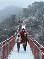 Seul, DMZ Tour com ponte de suspensão opcional e gôndola - Housity
