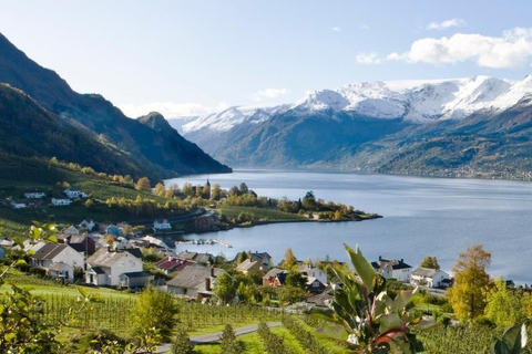 Scenic Hardanger Fjord, Waterfalls, and Orchards Day Trip