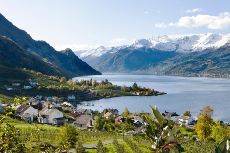Scenic Hardanger Fjord, Waterfalls, and Orchards Day Trip