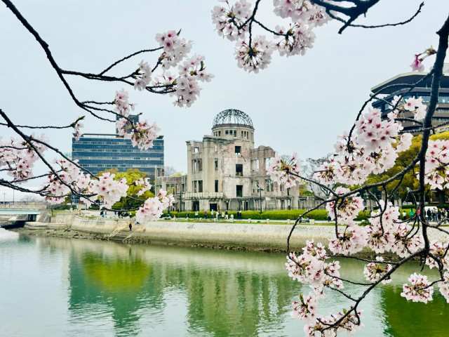 Hiroshima: History of Hiroshima Private Walking Tour