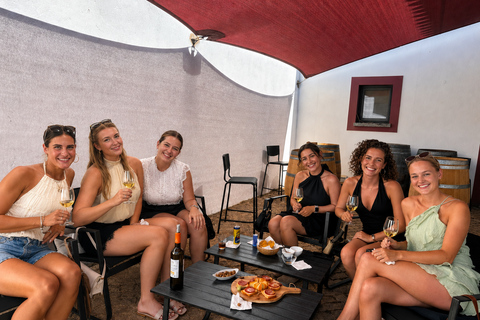 Lagos: Wine Tasting Experience at Local Winery