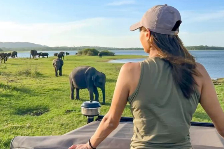 Minneriya National Park: Elephant Watching Safari with Guide Minneriya National Park: Sunrise Elephant Safari with Guide