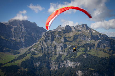 Lucerne: Tandem Paragliding – All-in-One – Lake Lucerne or Engelberg