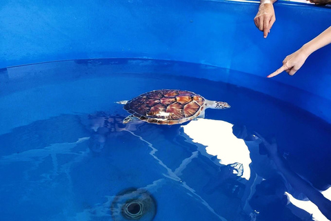 De Kuala Lumpur: excursão a Port Dickson com cruzeiro DragonDe Kuala Lumpur: Excursão a Port Dickson com cruzeiro Dragon Cruise