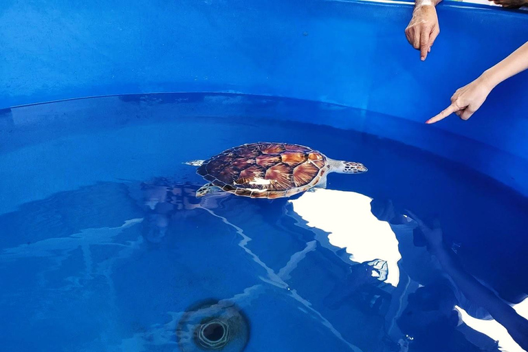 De Kuala Lumpur: excursão a Port Dickson com cruzeiro DragonDe Kuala Lumpur: Excursão a Port Dickson com cruzeiro Dragon Cruise