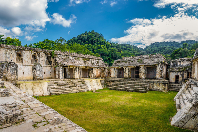 Chiapas: Palenque Admission Ticket, Mayan Temples, and Selva Viva