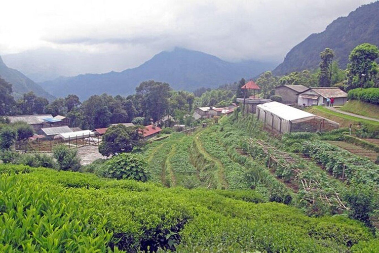 Pokhara: 5-Day Farming Experience with Accommodation