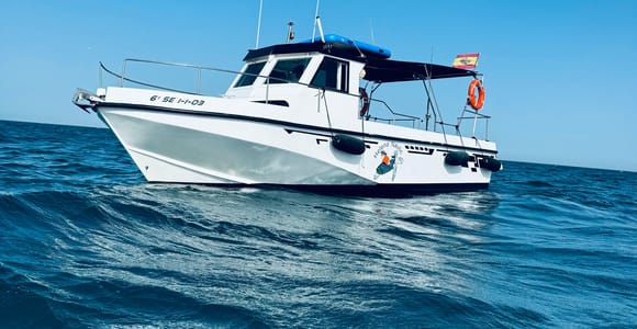 Benalmadena: Private Bootsfahrt mit Getränken & Snacks