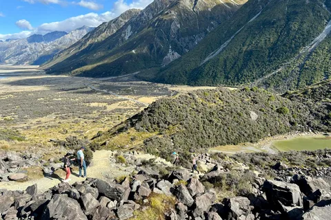 Desde Queenstown: Excursión de un día al Mirador del Glaciar Tasman y el Monte Cook