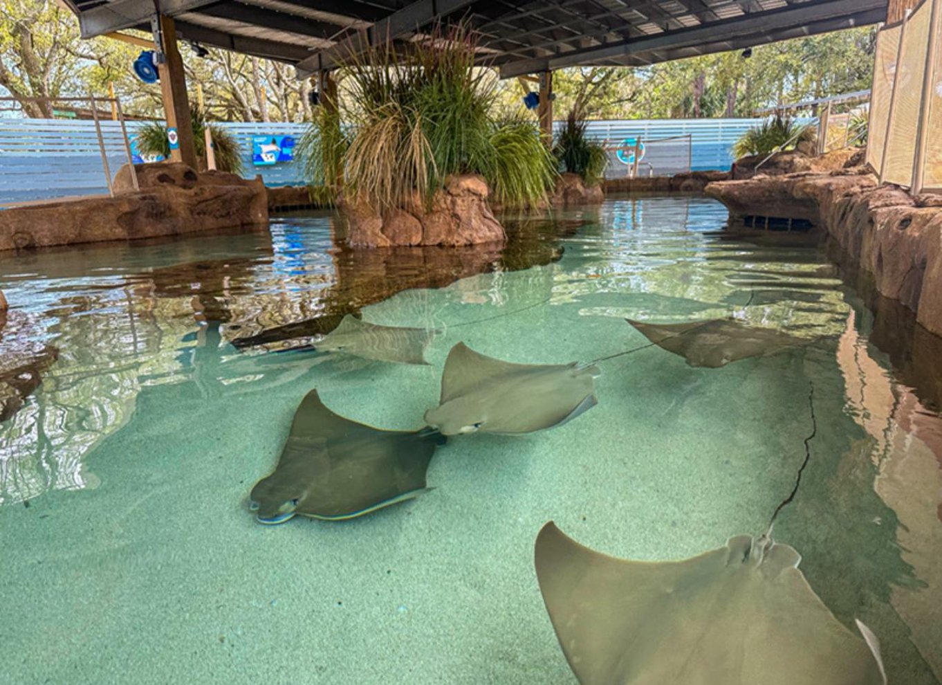 Tampa: Billet til ZooTampa i Lowry Park