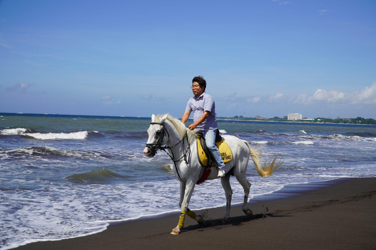 Bali: Sunrise Horse Riding Sanur Beach Experience 1 Hour Ride Include Hotel Transfer