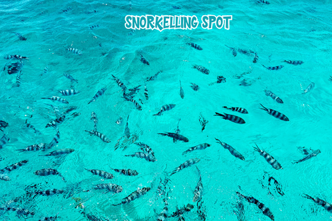 Mauricio: Isla Benitier - Nadar con delfines - Lancha rápida y barbacoa