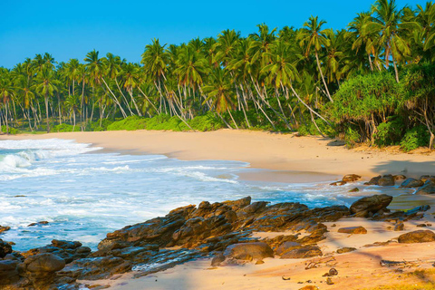 Sri Lanka: 10-Days Beachside Honeymoon TourBeachside Honeymoon