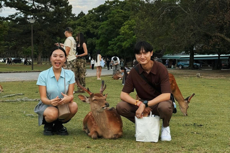 奈良公园：隐秘小径与鹿群导览之旅（含接送服务）