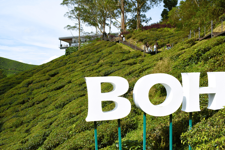 Kuala Lumpur: Customize Your Cameron Highlands Itinerary From KL: Discover Cameron Highlands’ Tea Valleys & Farms