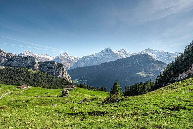 From Interlaken: Swiss Alps and Hidden Gems Private Day Tour