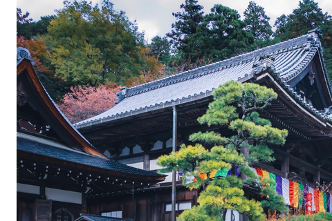 Nara: Guided Walking Tour with Tea Ceremony & Calligraphy