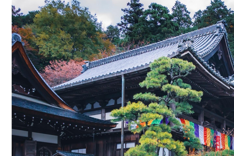 Nara: Guided Walking Tour with Tea Ceremony & Calligraphy