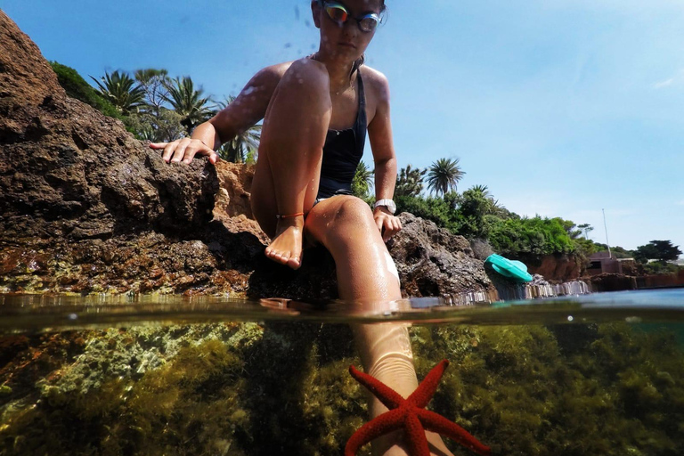 From Cannes: Essential Calanques de l'Estérel Sea Excursion