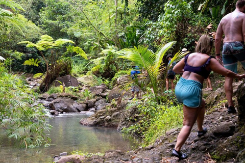 St. Lucia: Regenwald-Wanderung und Wasserfall-Safari