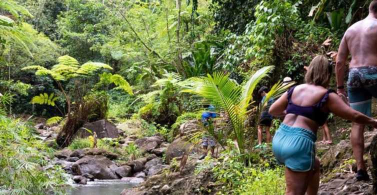 Saint Lucia: Rainforest Hike and Waterfall Safari