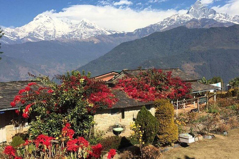 From Pokhara: Full Day Hiking to Astam Village Full Day Hiking from Pokhara to Astam Village