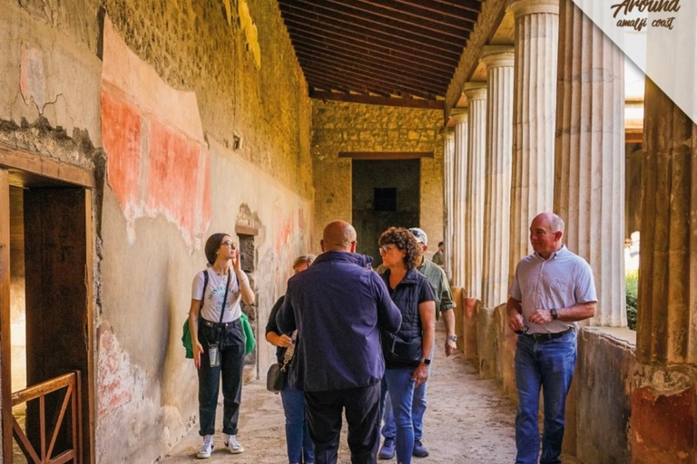 Pompeii: Guided Tour with Archaeologist and Lunch