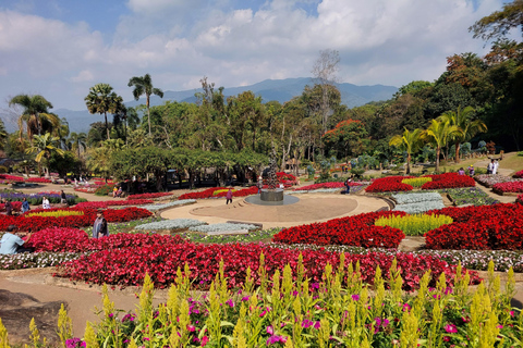 Chiang Rai: Mountains Discovery Doi Mae Salong & Doi Tung Mountains Discovery:Doi Mae Salong & Doi Tung (Private Tour)