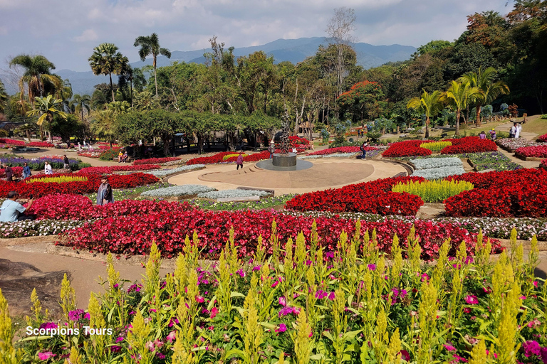 Chiang Rai: Mountains Discovery Doi Mae Salong & Doi Tung Mountains Discovery:Doi Mae Salong & Doi Tung (Private Tour)