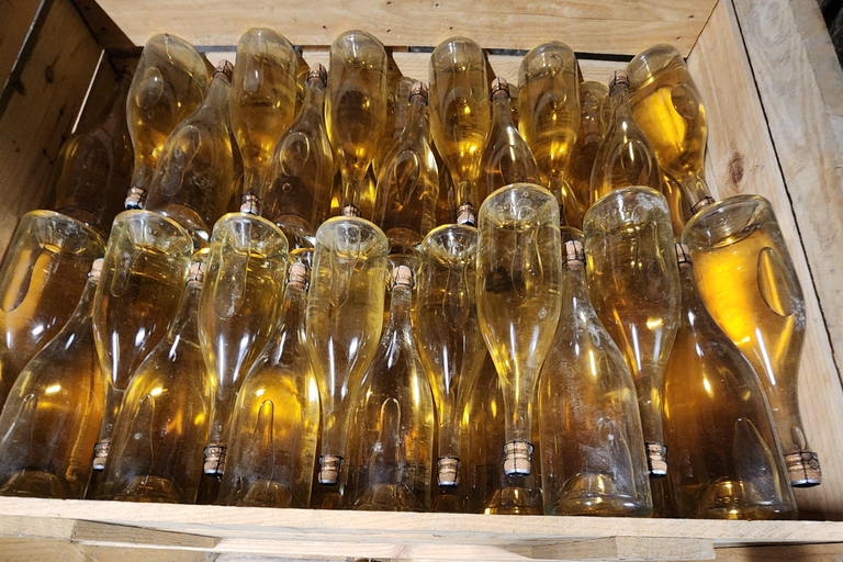 Loire Valley Wine Tour from Paris: 2 Wineries & 10 Tastings Premium Option