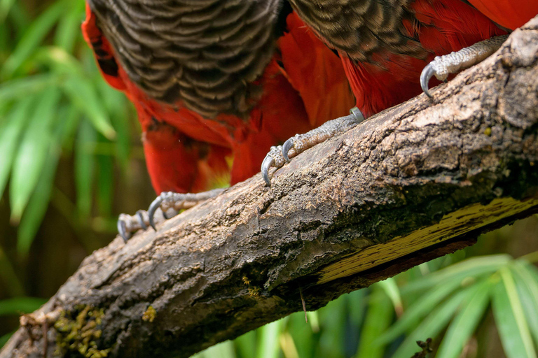 Prager Zoo: Ticket ohne Anstehen Einlass ohne Anstehen