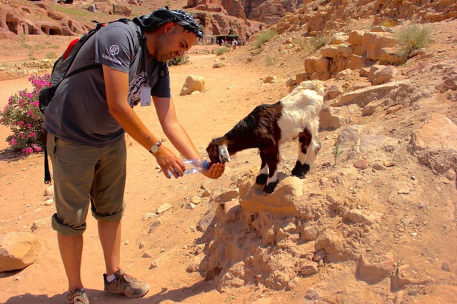 Hiking Guided Tour of Petra Archaeological Site