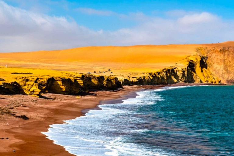 Heldag Ballestasöarna - Paracas nationalreservat