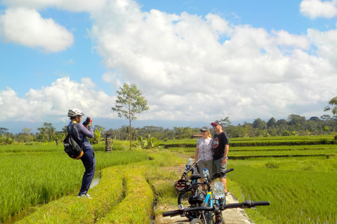 Ubud: Half-Day Tegallalang Electric Cycling Tour