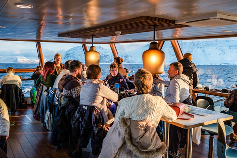 Tromsø: Passeio de observação de baleias em um catamarã híbrido-elétricoTromsø: Observação de Baleias em Catamarã Híbrido