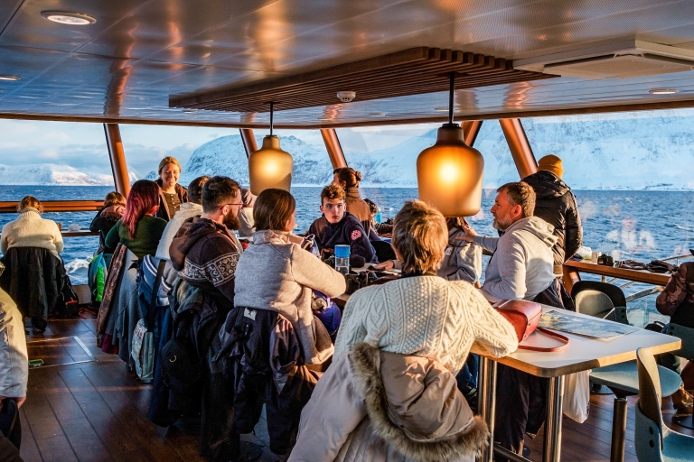 Tromsø: Excursión de Avistamiento de Ballenas en Catamarán Híbrido-EléctricoTromsø: avistamiento de ballenas en catamarán híbrido