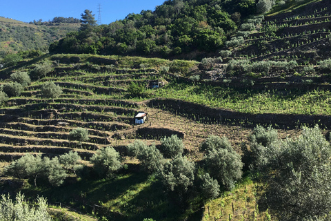 Porto to Douro Valley Private tour in a 4x4 like a native Privat tour Offroad Douro Valley