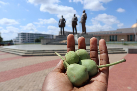 Gaborone: Private 3-stündige Stadtrundfahrt