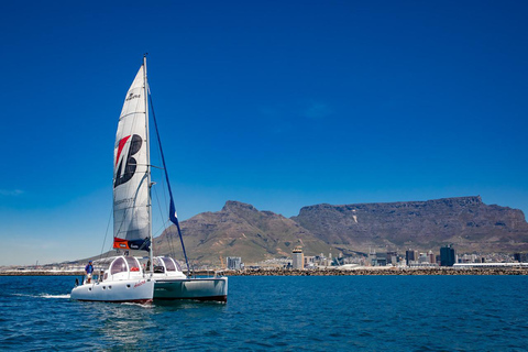 Cape Town: Sunset Catamaran Cruise with Sparkling Wine