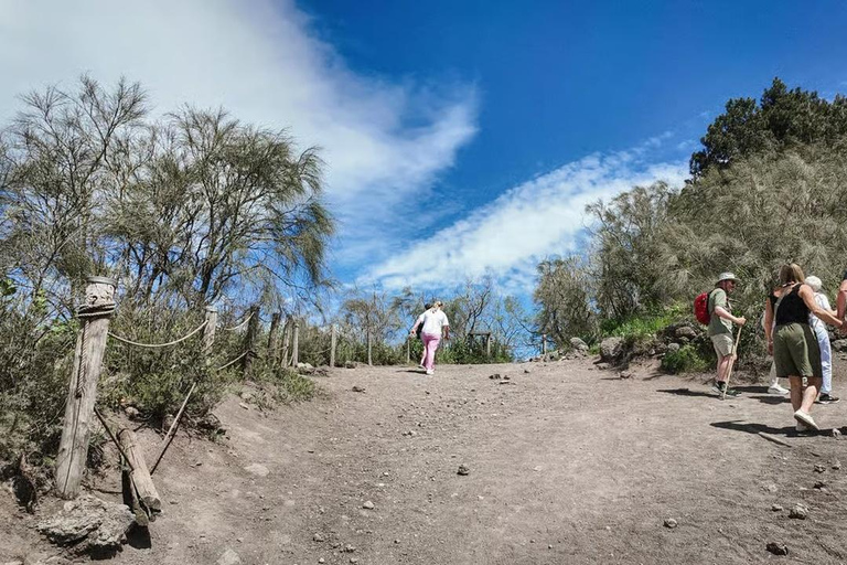 Rome: Vesuvius, Pompeii or Herculaneum by High-speed Train Pompeii Spanish Guided Tour & Vesuvio Entry ticket