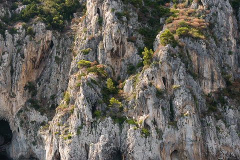 From Amalfi Coast Ports: Capri Transfer and Island Boat Tour From Minori